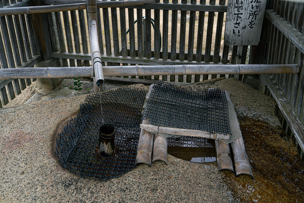 素盞嗚命神社-2012157