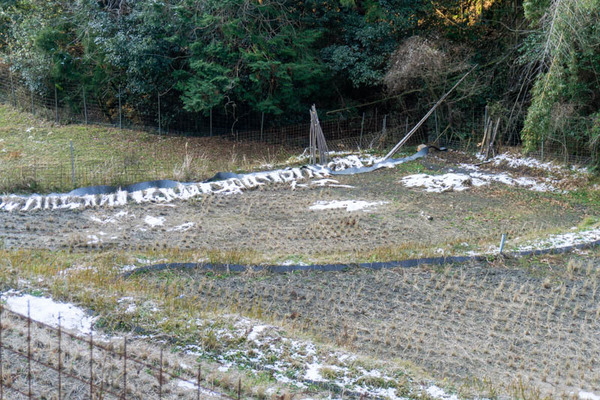 雪20220113094819