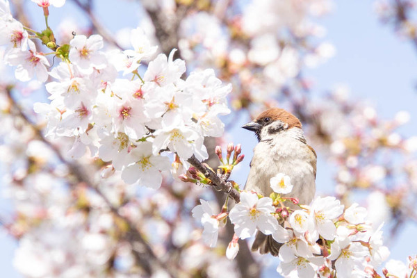 玉川橋20230329231147
