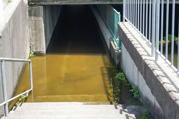 アンダーパス-202205235