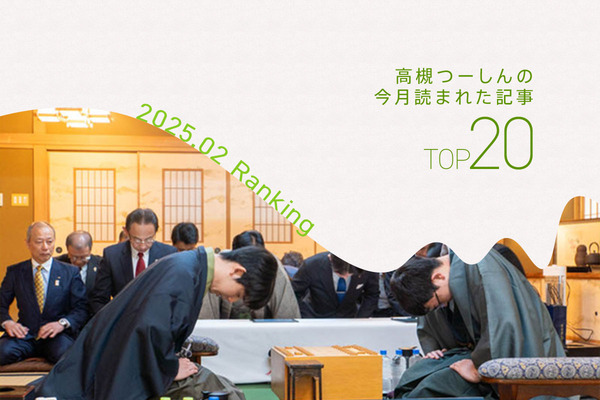 アクセス解析2025