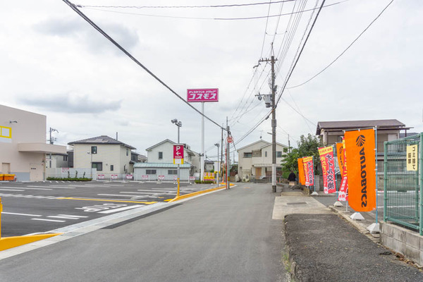 コスモス20210928122732