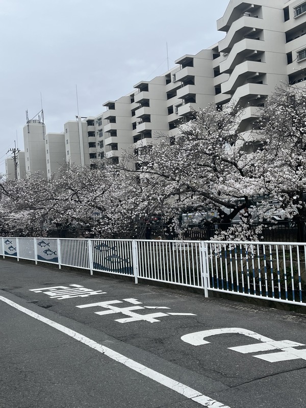 2308575A-7A64-4448-A26D-07CAD91DFDEC