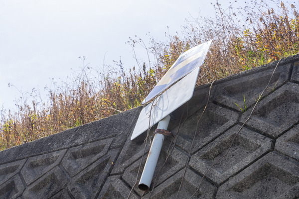 もう虫の息-2103113