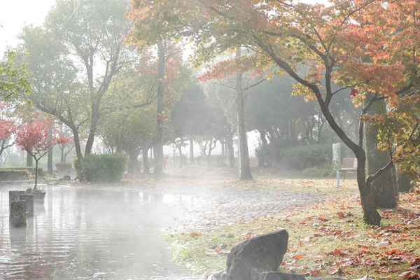 せせらぎ-202211221