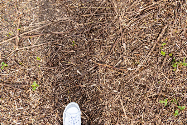 高槻開場20240915132832