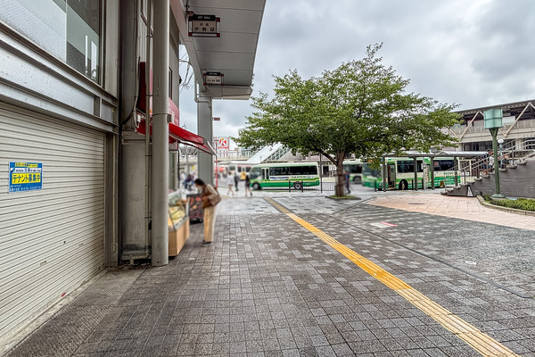 高槻市芥川町　ロジャースカレー3