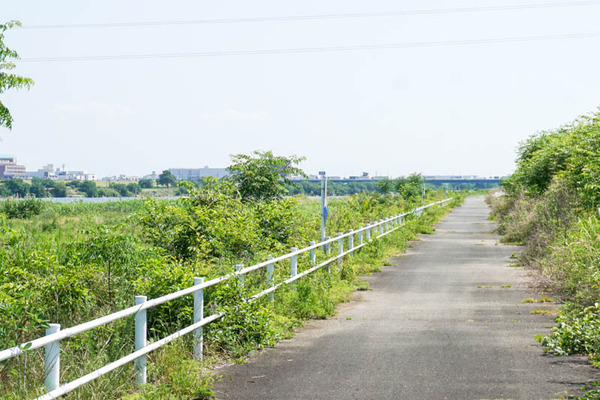 三島江地区河川敷公園-2022060215