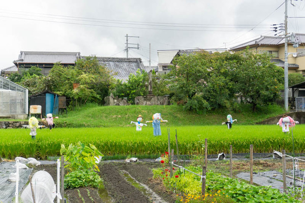 かかし20210915090044