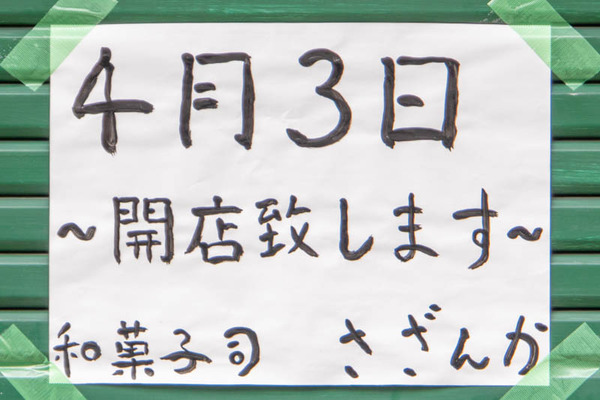 山茶花20250328105745