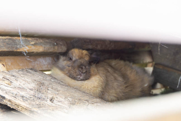 THEFARM20230822103817