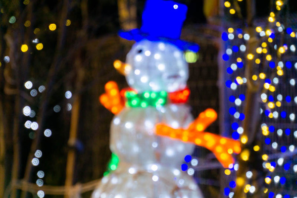 大蔵司イルミ20221227185318