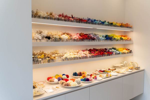 ヘア20250113143617