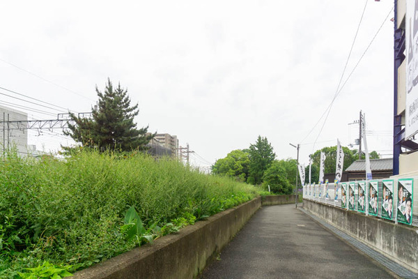 駅前農園20210520090042