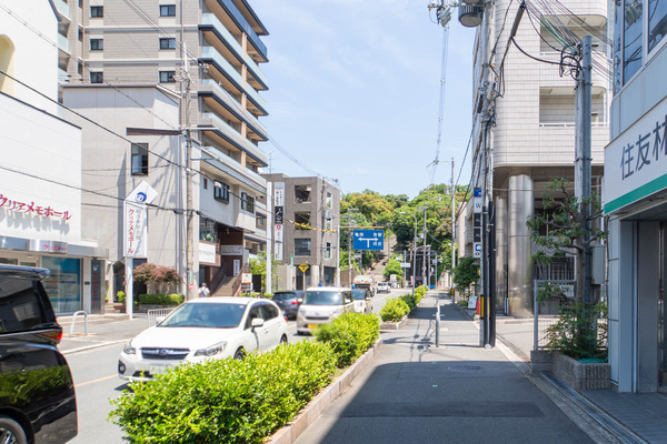 merryplants20240619103401