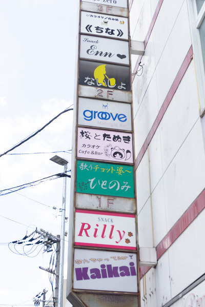 桜とたぬき 20240827-4