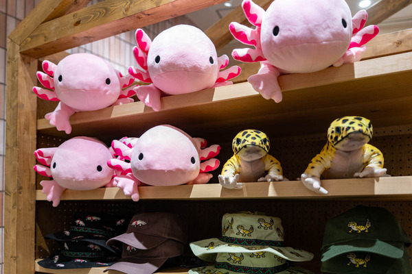 ゴースローキャラバン-2503206