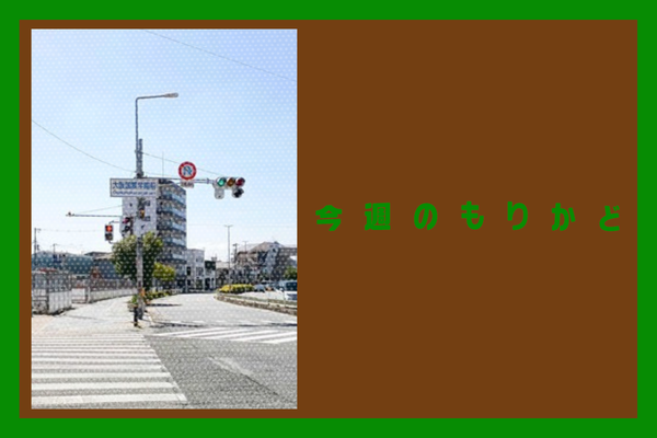 今週のもりかど・やまと