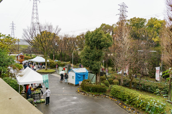 0324下島小学校-34