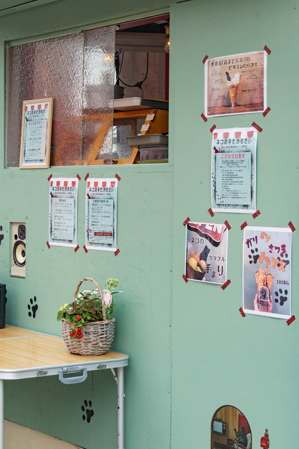 猫の手もかりたい220113-5