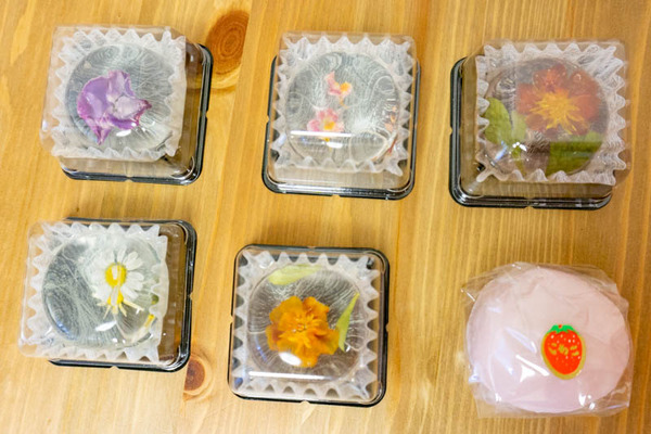 守口つくし（小）2104141