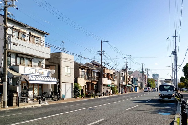 IMG_20251017_082344492