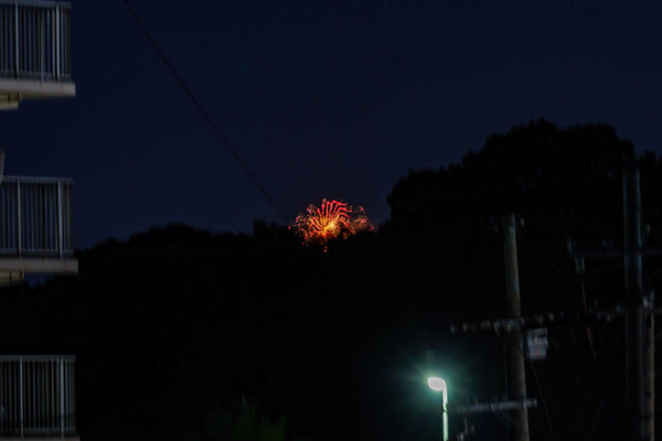 どんどこ-2508021