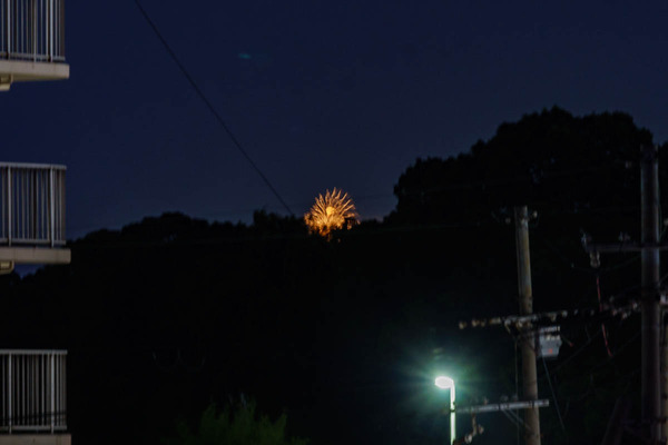 どんどこ-2508022