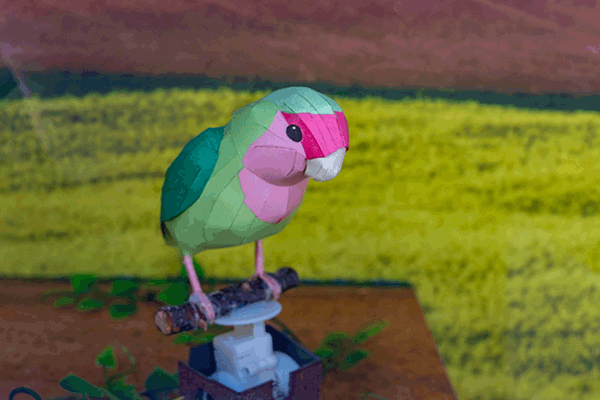 インコ