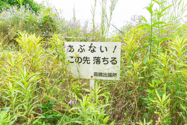 淀川の向こう(小)21060242