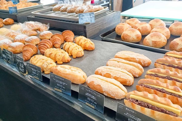 IMG_20251209_123237334