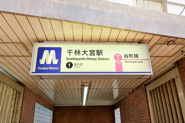 IMG_20250723_132349977_HDR