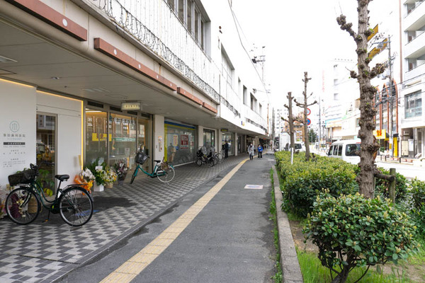 泉田歯科(小)2104052