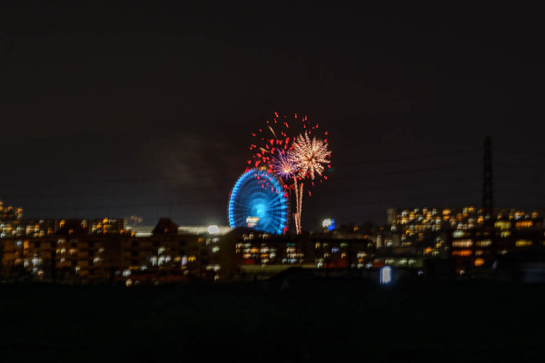 ドリカム花火-2508022