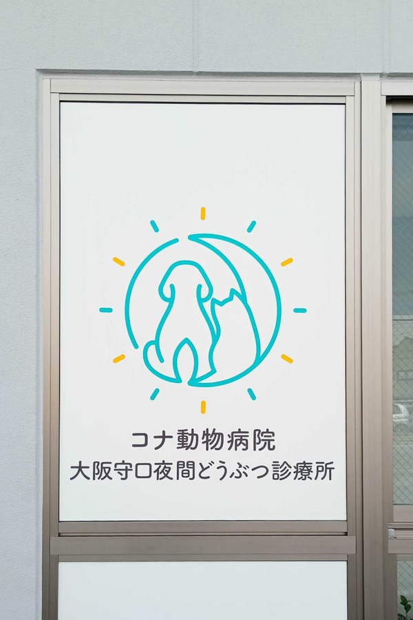 IMG_20260220_113017650