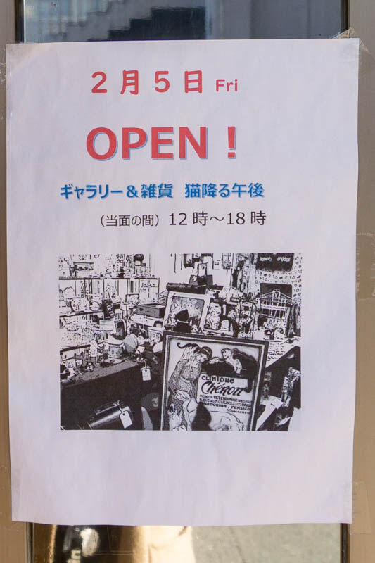 猫降る午後(小)2102254