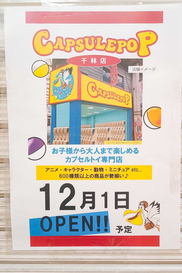 IMG_20251113_113600535