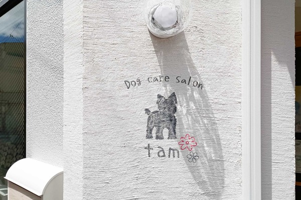 IMG_20250424_115624867