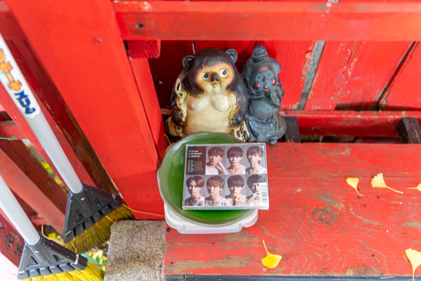 イチョウ-2111308