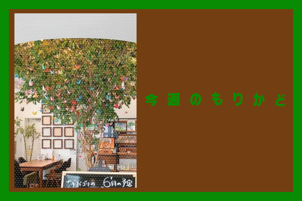 今週のもりかど (10)