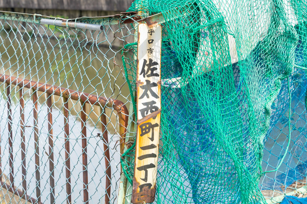 レア-2109131