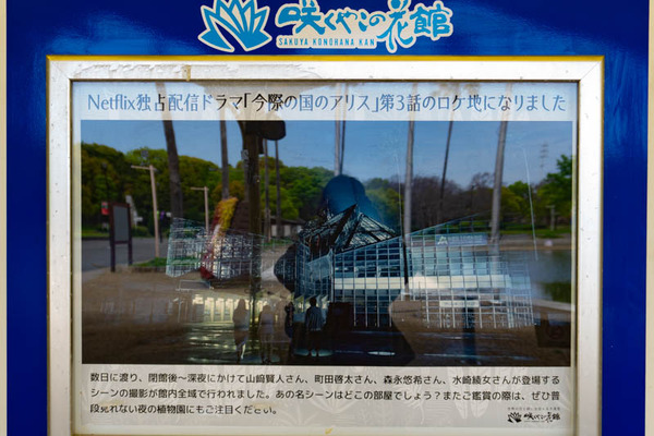 今際の国のアリス咲くやこの花館(小)2104061