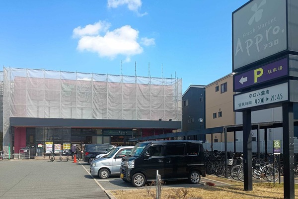 IMG_20250318_105316383