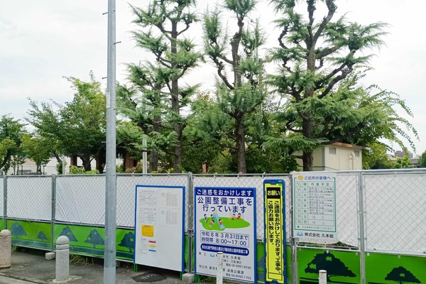 IMG_20250809_164622675