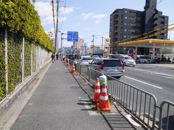 切り株10兄弟 2021年3月-2