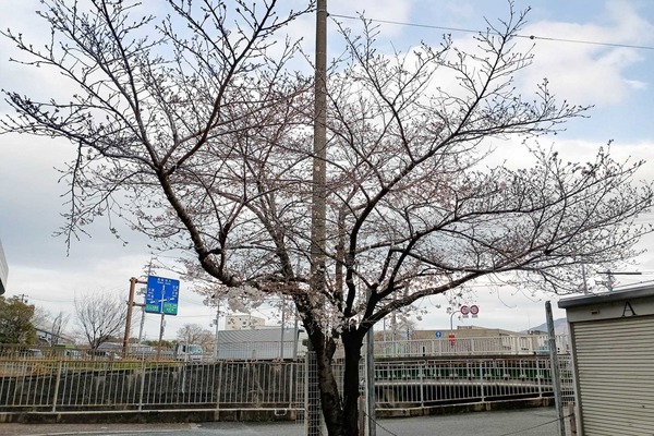 IMG_20250328_143554492_HDR (1)