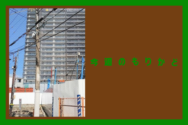 今週のもりかど (1)