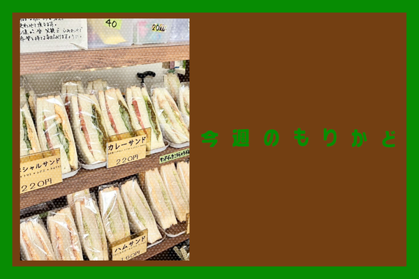 2_20260312_192059_0001