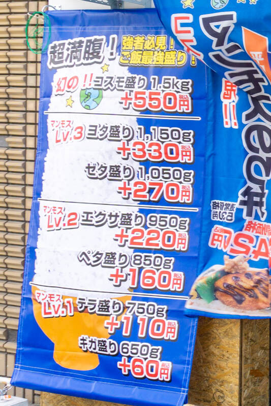 メガ盛り2111102