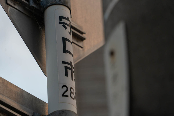 よつば未来公園周辺-25022310